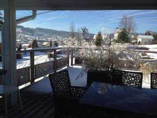 Maison lumineuse avec sauna, terrasse sud, proche Gérardmer, animaux acceptés - FR-1-589-369 - 1