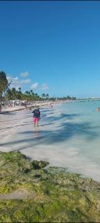 Apto estudio en Punta Cana, vista a la pisicina - Punta Cana - 3