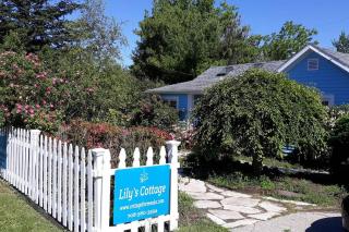 Lily’s Cottage, steps from Journeyman and Acorn! - Three Oaks - 0