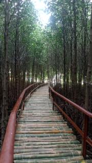 Hava Resort Calatagan - - 4