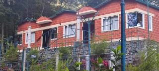 The Den by Trees - Kotagiri - 2