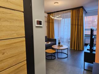 URBAN APARTMENTS THE PHILHARMONIC, Opolska 10 No 61, Free Garage, Self Check-in - Katowice - 7