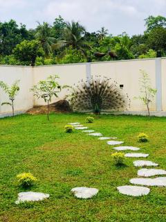 The Villa On The Rock - Talpe - 9