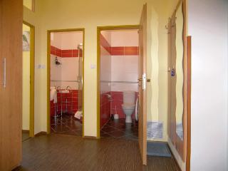 Homely Apartments Villa Christiana - Marienbad - 2