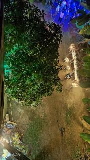 Mauli Cottage - Kashid - 9
