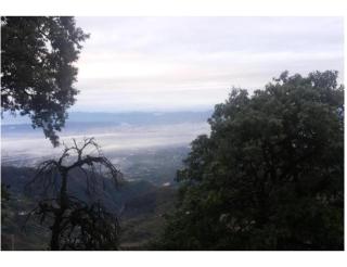 Hotel Valley View, Mussoorie - Mussoorie - 4