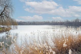 Riverview Larger Groups Canary Wharf take Boat to Greenwich 02 - 0