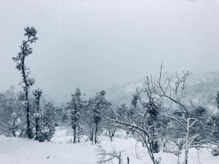 Wanderlust Mukteshwar - Mukteshwar - 5
