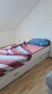 Guest house - Ludwigshafen am Rhein - 6