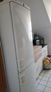Guest house - Ludwigshafen am Rhein - 1