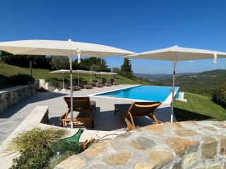 Villa Maroni with Pool - inner Istria - Pazin - 4