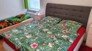 Ferienwohnung Anna mitten im Erzgebirge - Annaberg-Buchholz - 6