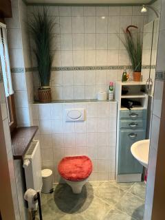 Ferienwohnung am Lehnberg, Familie Richter - Neue Häuser - 5