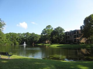 Hilton Head Island Beach and Tennis Resort - Hilton Head Island - 1