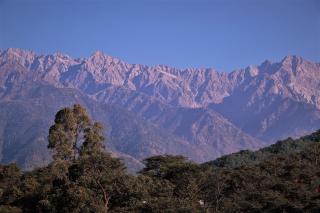 Lamrin Norwood Green Palampur, Himachal Pradesh - Pālampur - 8