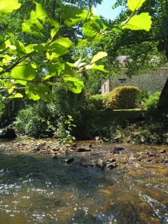 Gîte en bord d'étang et de rivière - 8