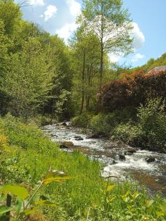 Gîte en bord d'étang et de rivière - 6