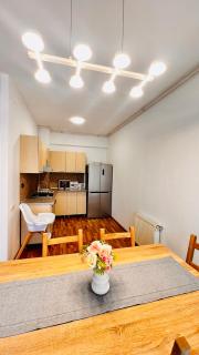Otopeni Airport apartment with private garden - Otopeni - 7