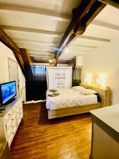 Logements Un Coin de Bigorre - T2 de campagne - Canal plus & Netflix - Wifi fibre - Centre village - Tournay - 5