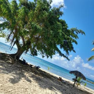 Appartement BUMBU 626 anse des rochers - 3