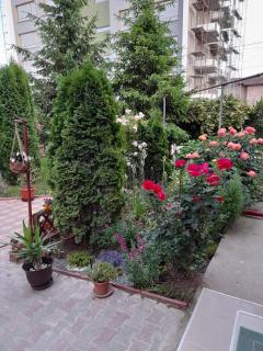 Vila Aliss - Mamaia Sat/Năvodari - 1