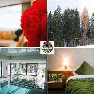 Apartment Schwarzwald-KULT - Schluchsee - 0