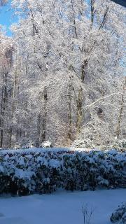 Haus am Wald - 2