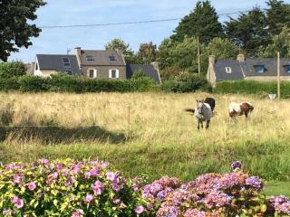Maison lumineuse entre mer et campagne 6 personnes - 9