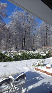 Haus am Wald - 1