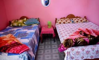 MANAS RAY HOMESTAY - Jyoti Gaon - 0