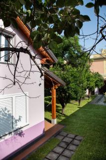 Giardino Carya - Giarre Centro - Giarre - 3