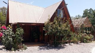 Hostal El Colibri - Vicuña - 5