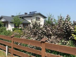 Na Skraju Puszczy - 5