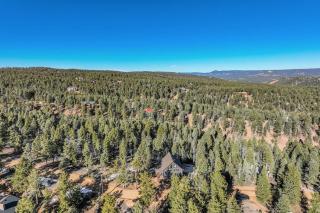 Rustic cabin charm w/ hot tub, arcade basketball - 9