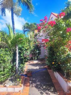 Petite case créole au calme. Salle d'eau. - 9