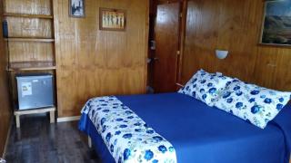 Hostal El Colibri - Vicuña - 9