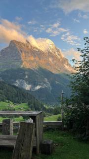 Chalet luzi - Grindelwald - 7