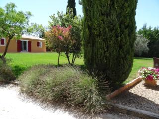 Mas'Xime - Saint-Rémy-de-Provence - 2