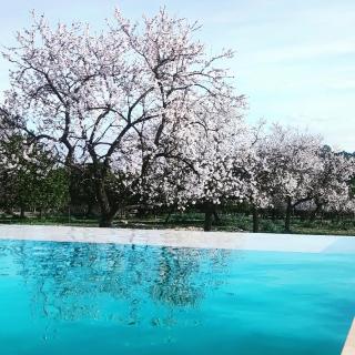 Agroturisme Subies - Selva - 4