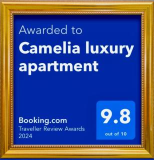 Camelia luxury apartment - Karistos - 9