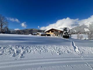 Haus Landzauber - Ramsau am Dachstein - 7
