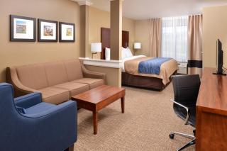 Comfort Inn & Suites Mandan - Bismarck - Mandan - 8