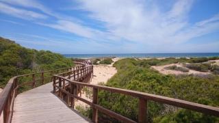 Gran Alicante Bungalow in Beach Resort - Puerto Marino - 0
