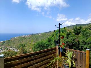 Poz Tropicale - Schœlcher - 6