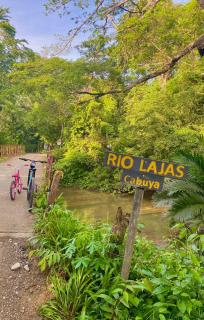 Deer House Cabuya - Cabuya - 5