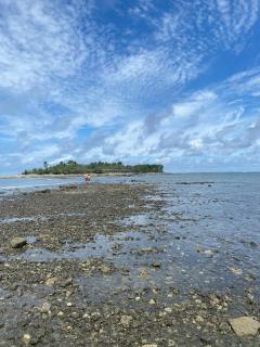 Deer House Cabuya - Cabuya - 2