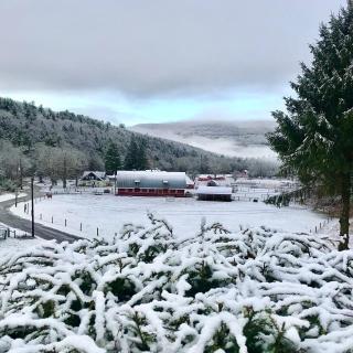 The Blue House On The Hill Catskills—Views - 9