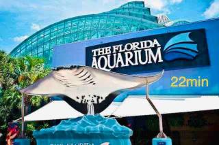 Pyramid Studio + free parking&wifi/ 5%off - Tampa - 1