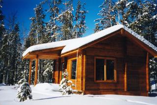 Mica Mountain Lodge & Log Cabins - Tête Jaune Cache - 8