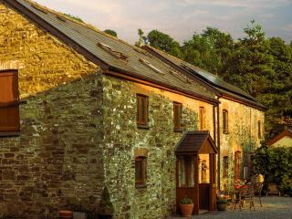 Mill Cottage - Llanybri - 9